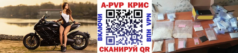 Альфа ПВП СК КРИС  Вельск 