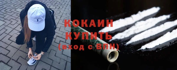 гидра Белоозёрский