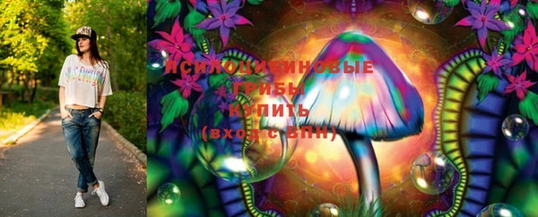 гидра Белоозёрский