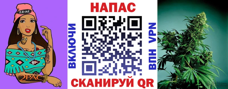 Бошки марихуана планчик  Вельск 